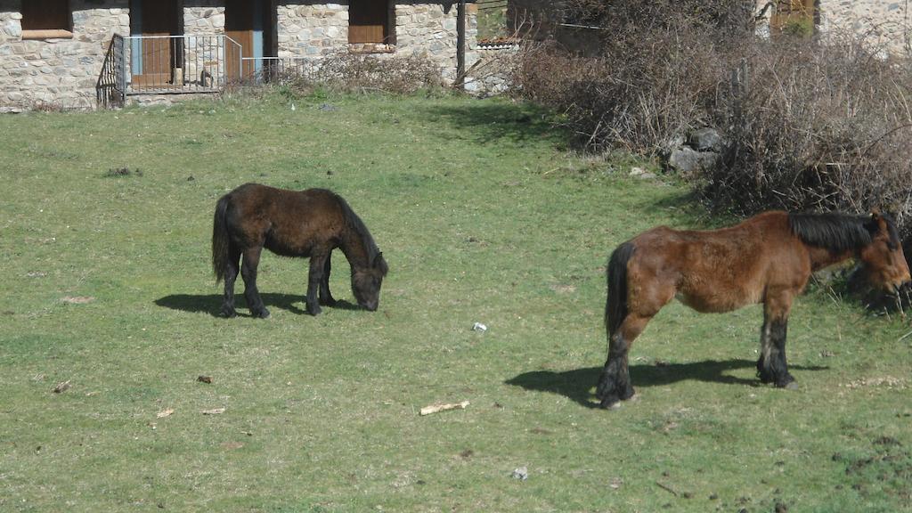 El Rincon De Zaldierna Екстериор снимка
